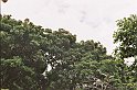 22_dag7