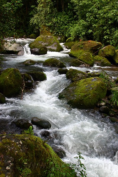 IMG_1268.JPG
