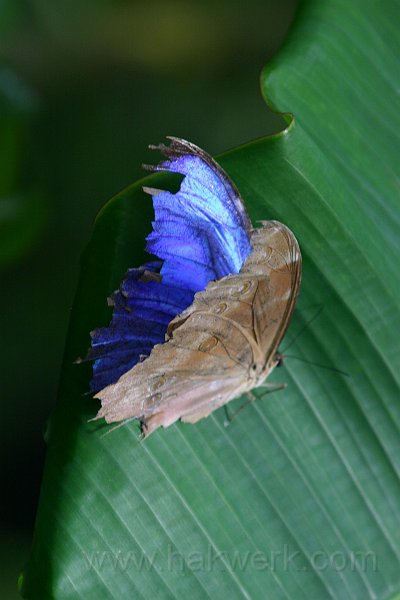 IMG_1552.JPG