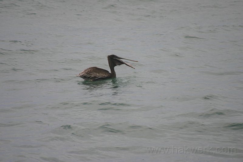 IMG_1582.JPG