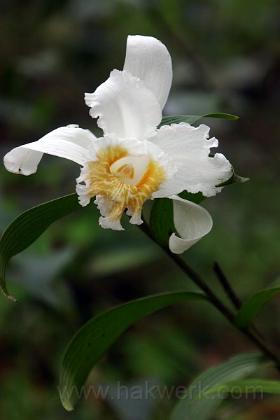 IMG_1901.JPG